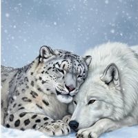 SnowLeopard